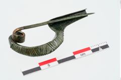 Foto von Bronzesanguisugafibel (NHMW-PRAE-025070)
